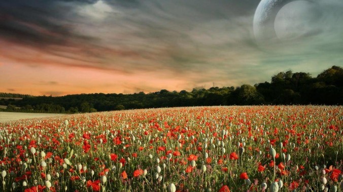 Node.js是谁发明的?